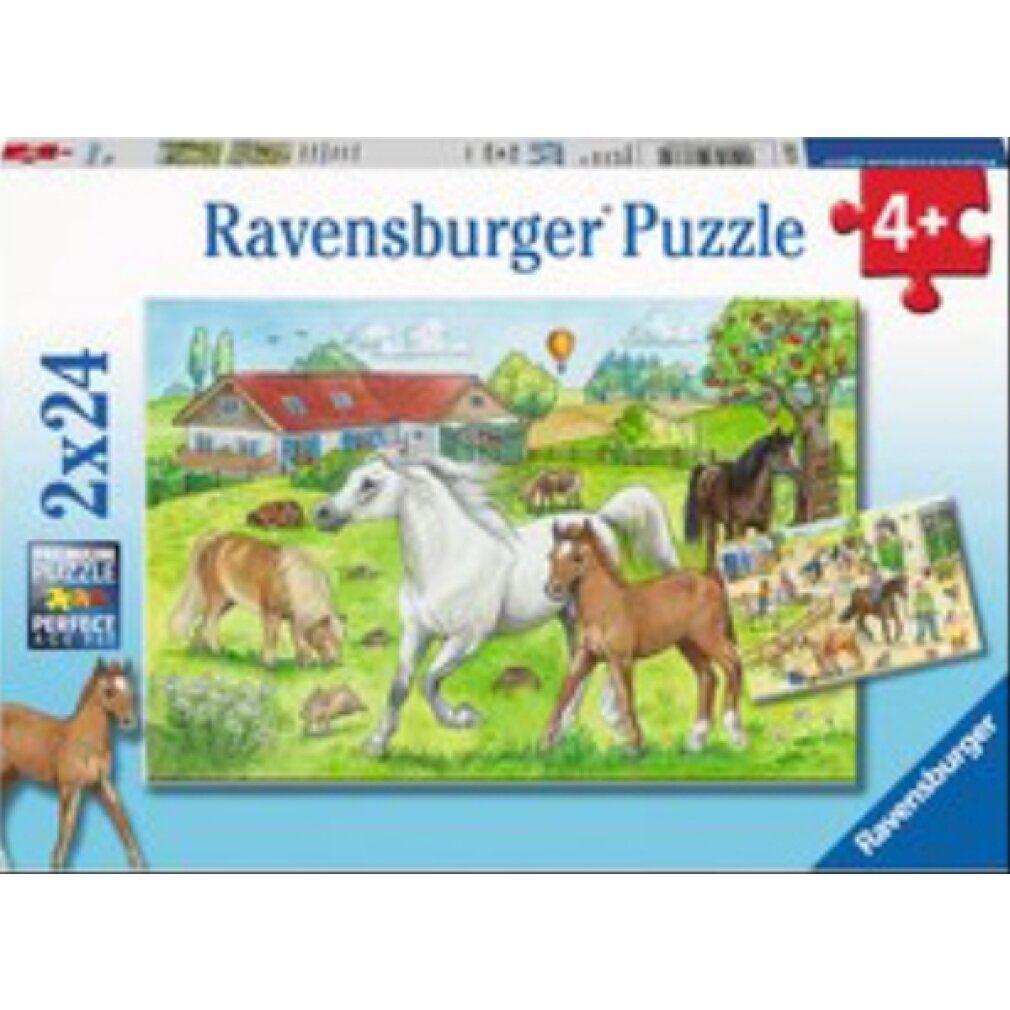 Scatola puzzle con motivo cavalli. Scritta: Ravensburger Puzzle, 2x24 pezzi, 4+. Immagine: cavalli in un prato con una casa sullo sfondo.