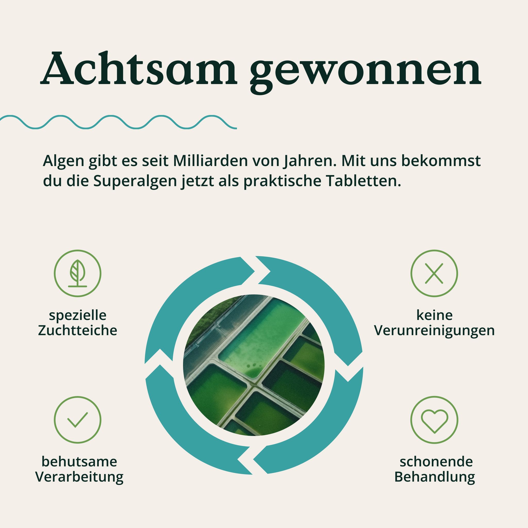 Ciclo con icone: vasche di allevamento speciali, nessuna contaminazione, trattamento delicato, lavorazione attenta. Testo: Raccolto con cura.