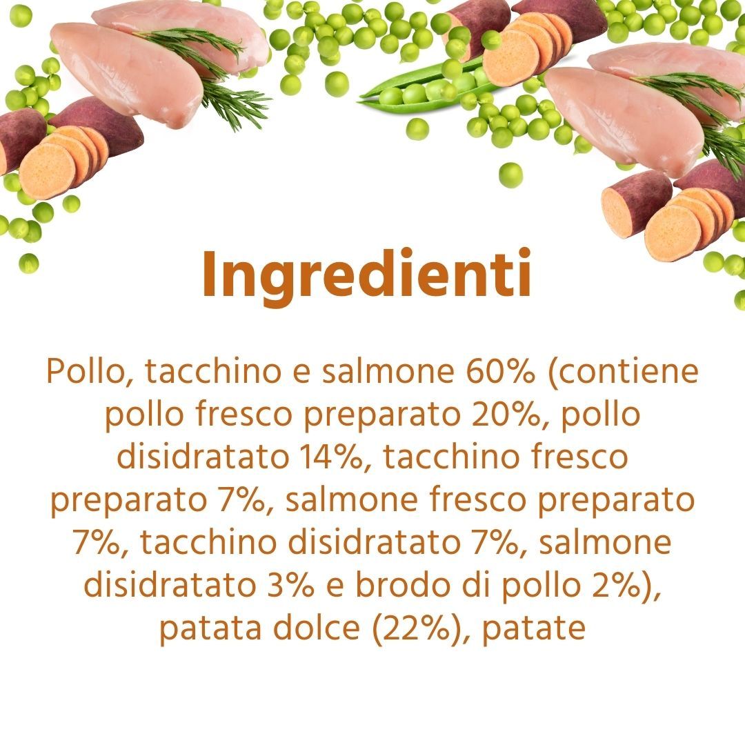 Testo con ingredienti: Pollo, tacchino e salmone 60%, patata dolce (22%), patate. Ingredienti: pollo, tacchino e salmone, patate dolci, patate.