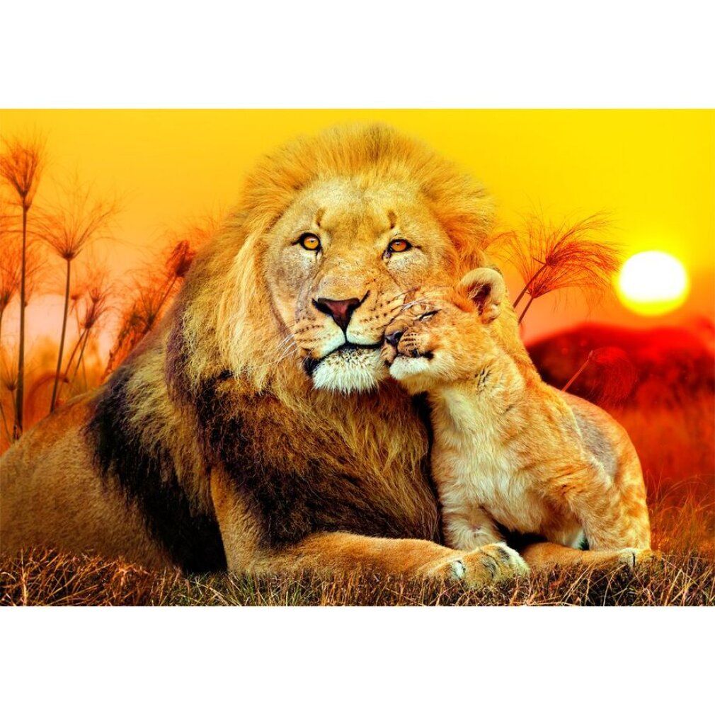 Puzzle con immagine di leoni. Titolo: Unerwartete Umarmung. 180 pezzi. Sfondo: tramonto. Senza confezione.