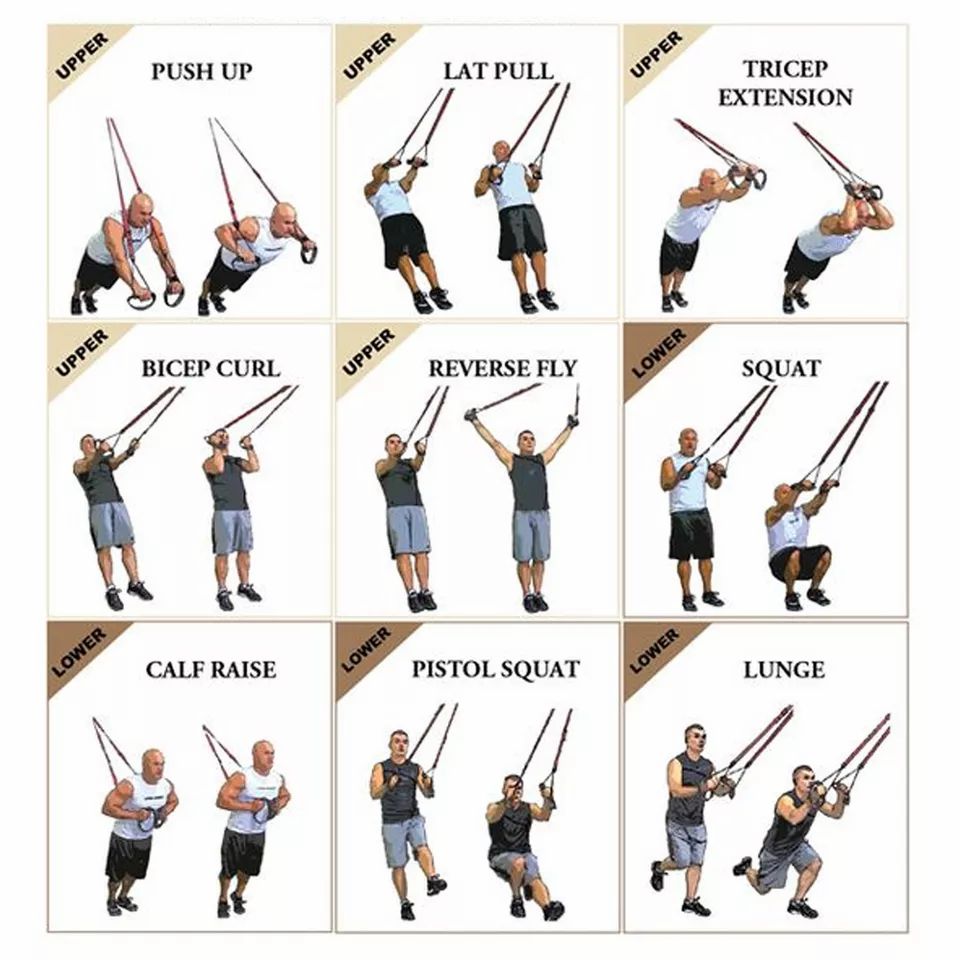 Nove esercizi con cinghie di sospensione. Le persone eseguono flessioni, trazioni, estensioni dei tricipiti, curl dei bicipiti, ecc.