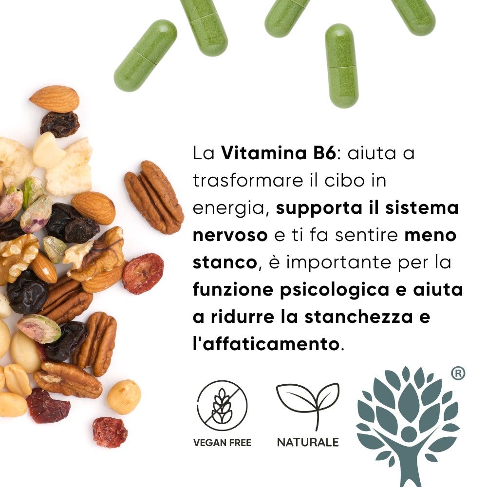 Capsule verdi e frutta secca. Testo: La vitamina B6 supporta il sistema nervoso e riduce la stanchezza.