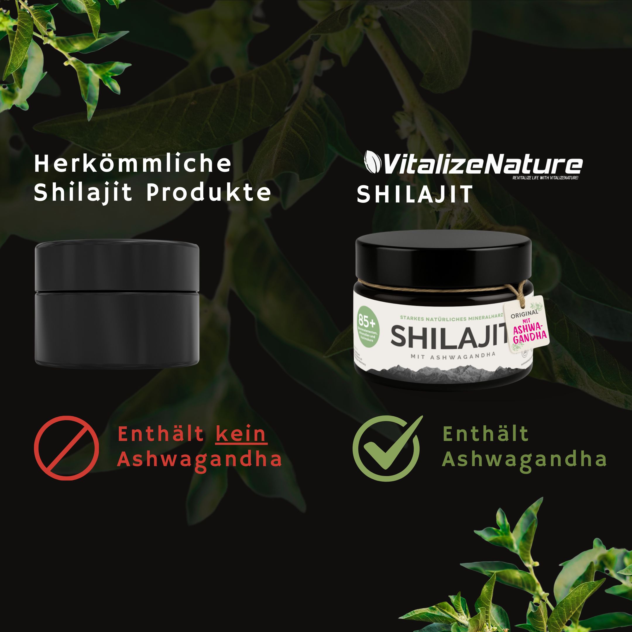 VitalizeNature Shilajit con Ashwagandha