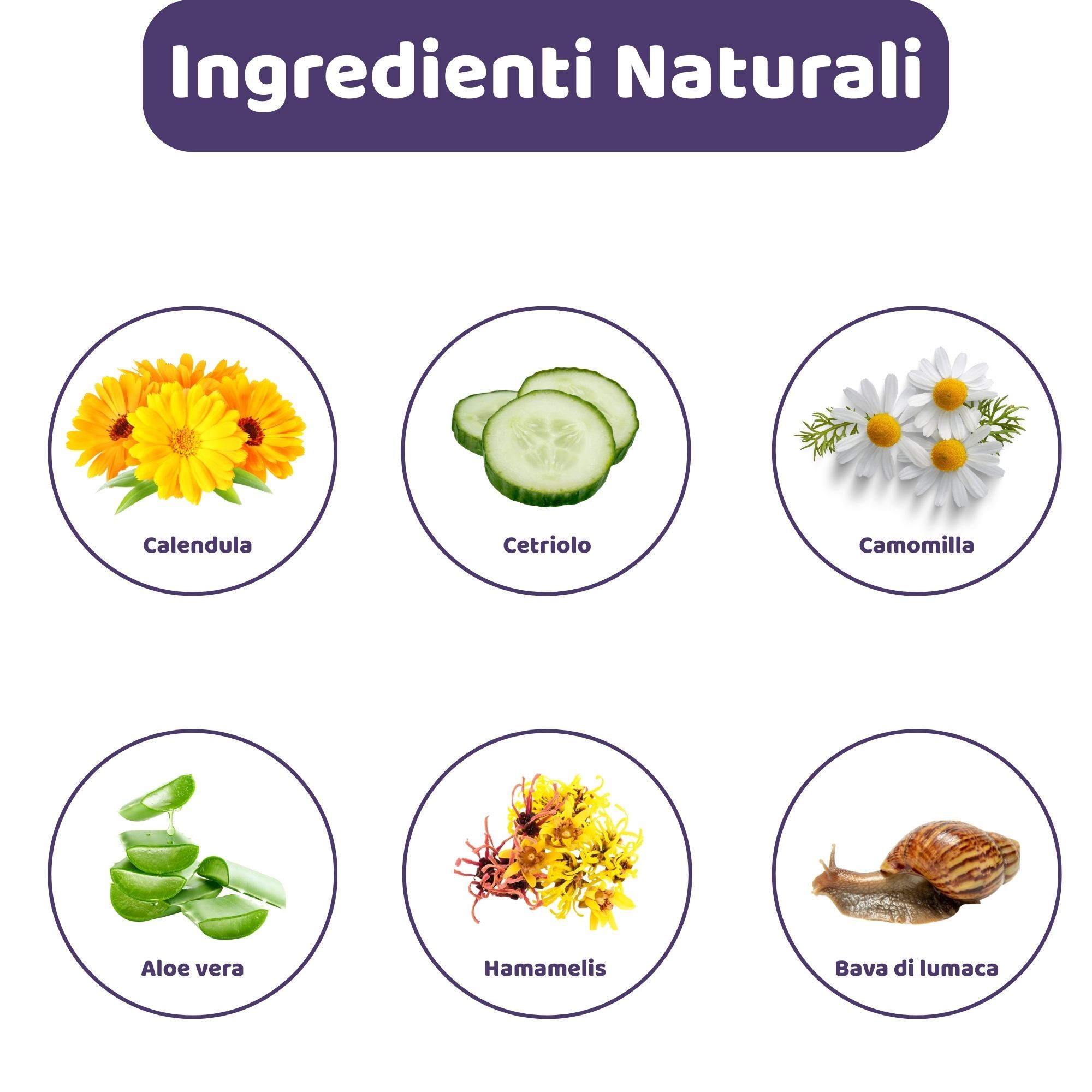 Illustrazioni circolari degli ingredienti: Calendula, cetriolo, camomilla, aloe vera, amamelide, lumaca. Testo: Ingredienti naturali.