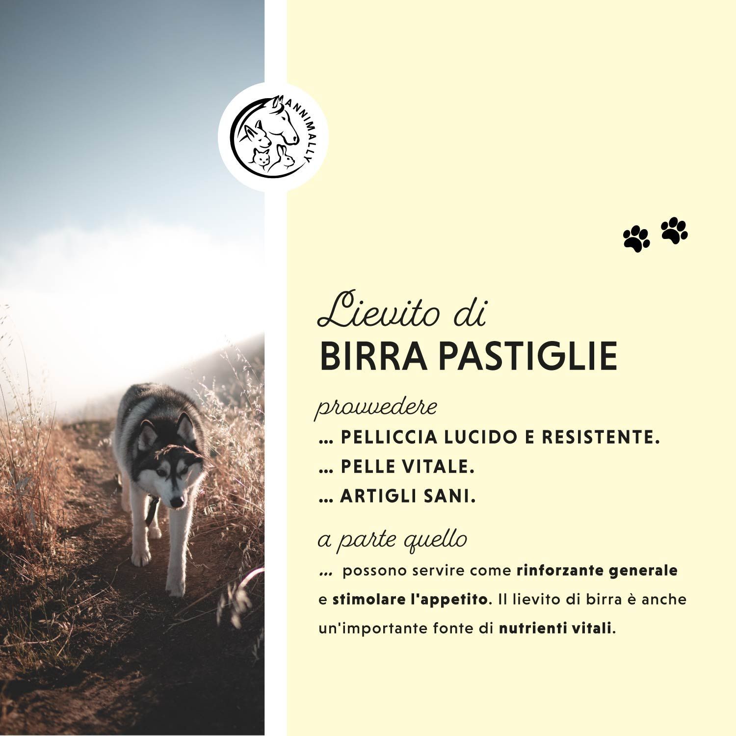 Sfondo: sentiero. Testo: Lievito di Birra Pastiglie, per un mantello lucido, pelle vitale, unghie sane. Logo: Annimally. Cane che corre.