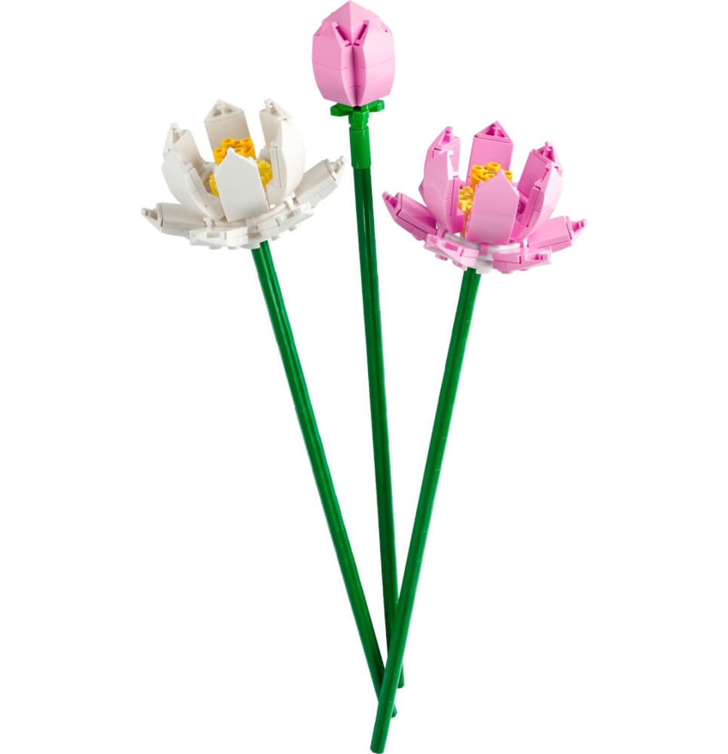 Tre fiori di loto in plastica. Uno a bocciolo, due aperti. Steli verdi, fiori rosa e bianchi. Su sfondo bianco.