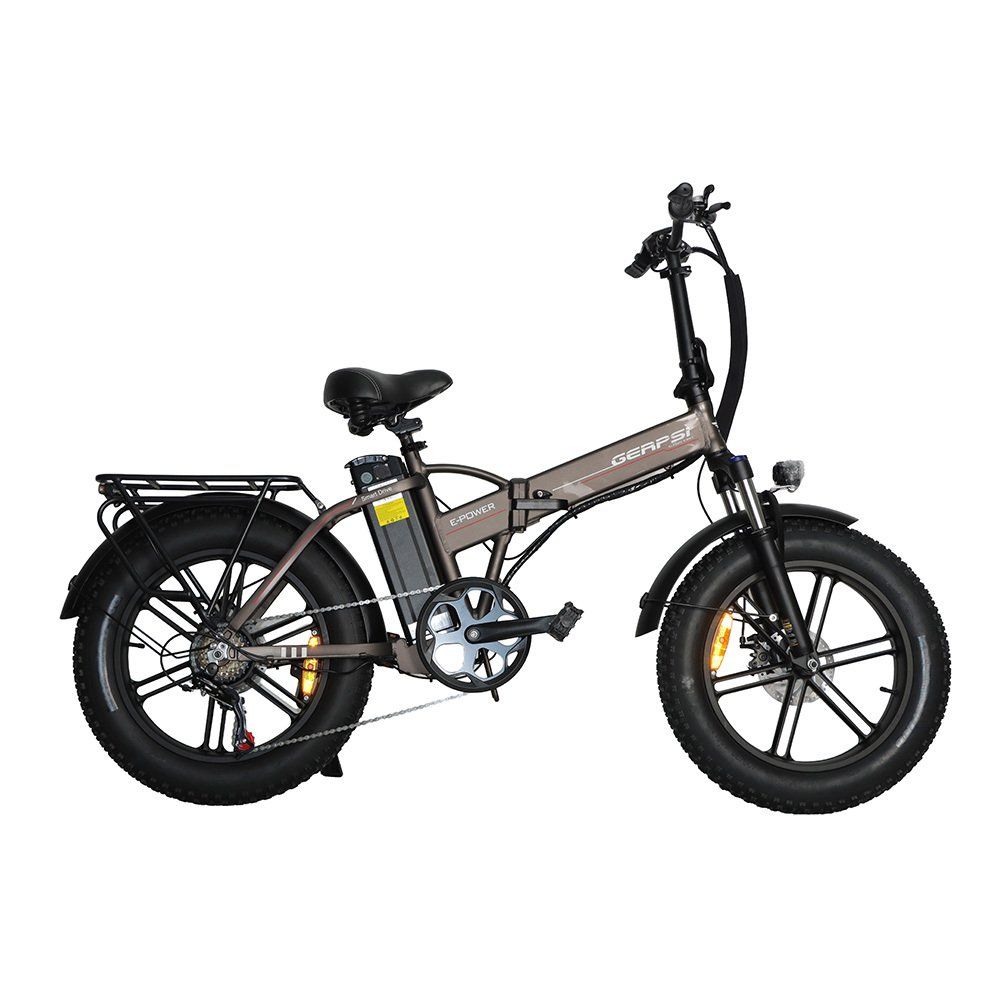 BAOLUJIE DZ2002 Bicicletta elettrica per adulti, batteria rimovibile da 48 V 16 Ah