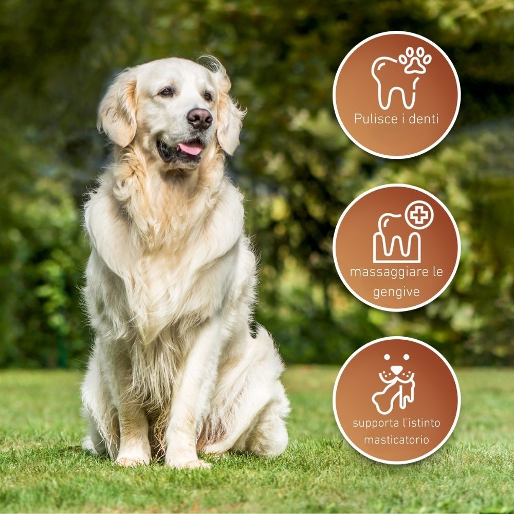 Un cane è seduto sull'erba. Texte: Pulisce i denti, Massaggiare le gengive, Supporta l'istinto masticatorio.