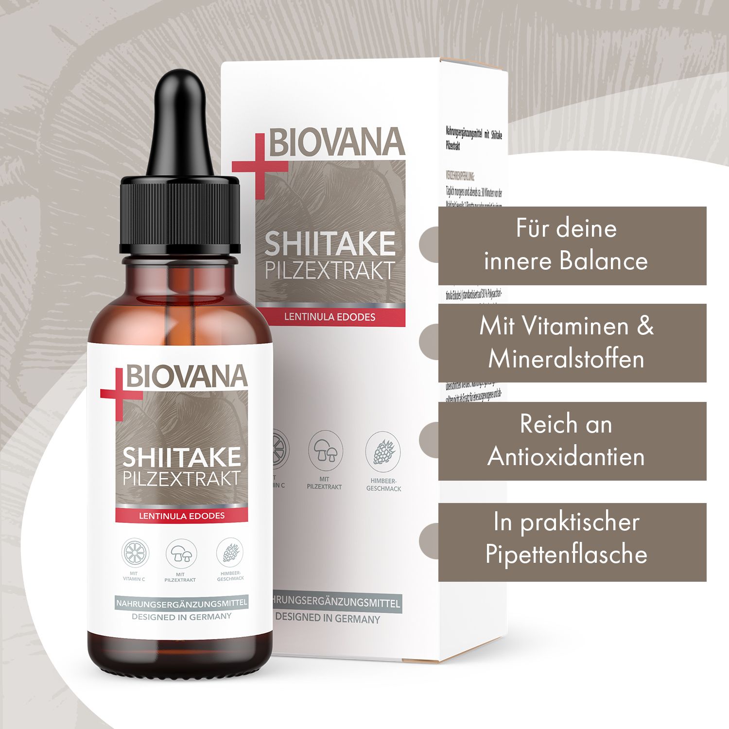 Biovana Estratto di funghi Shiitake