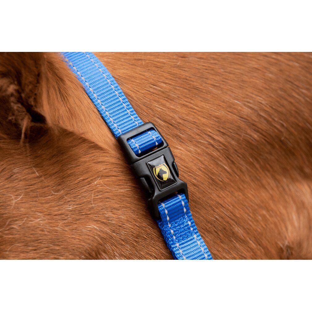 Dettaglio di un'imbracatura blu con fibbia nera. Logo giallo sulla fibbia.