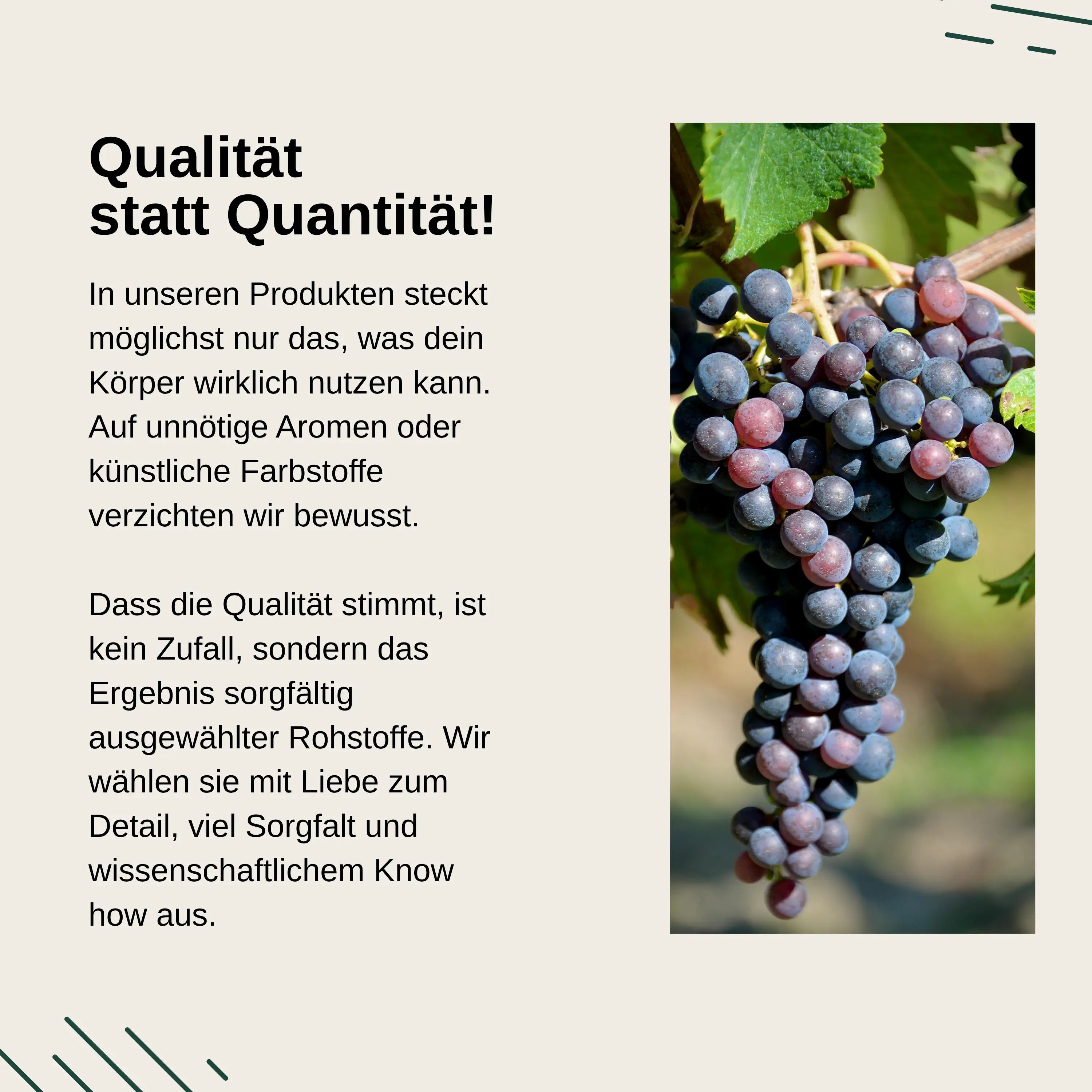 Qualità invece di quantità per Vita Elements OPC estratto di semi d'uva. Materie prime selezionate, senza aromi artificiali.