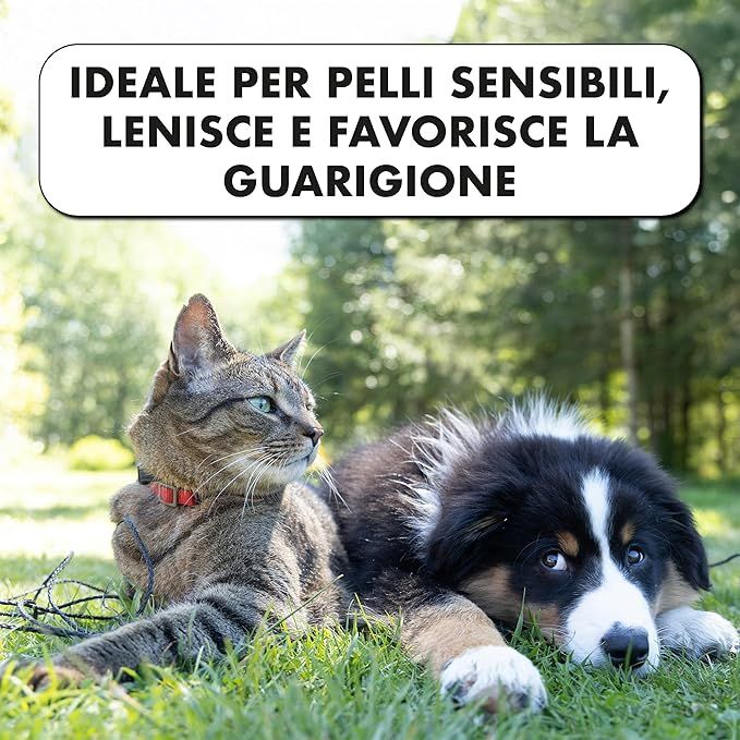 Gatto e cane sull'erba. Testo: Ideale per pelli sensibili, lenisce e favorisce la guarigione.