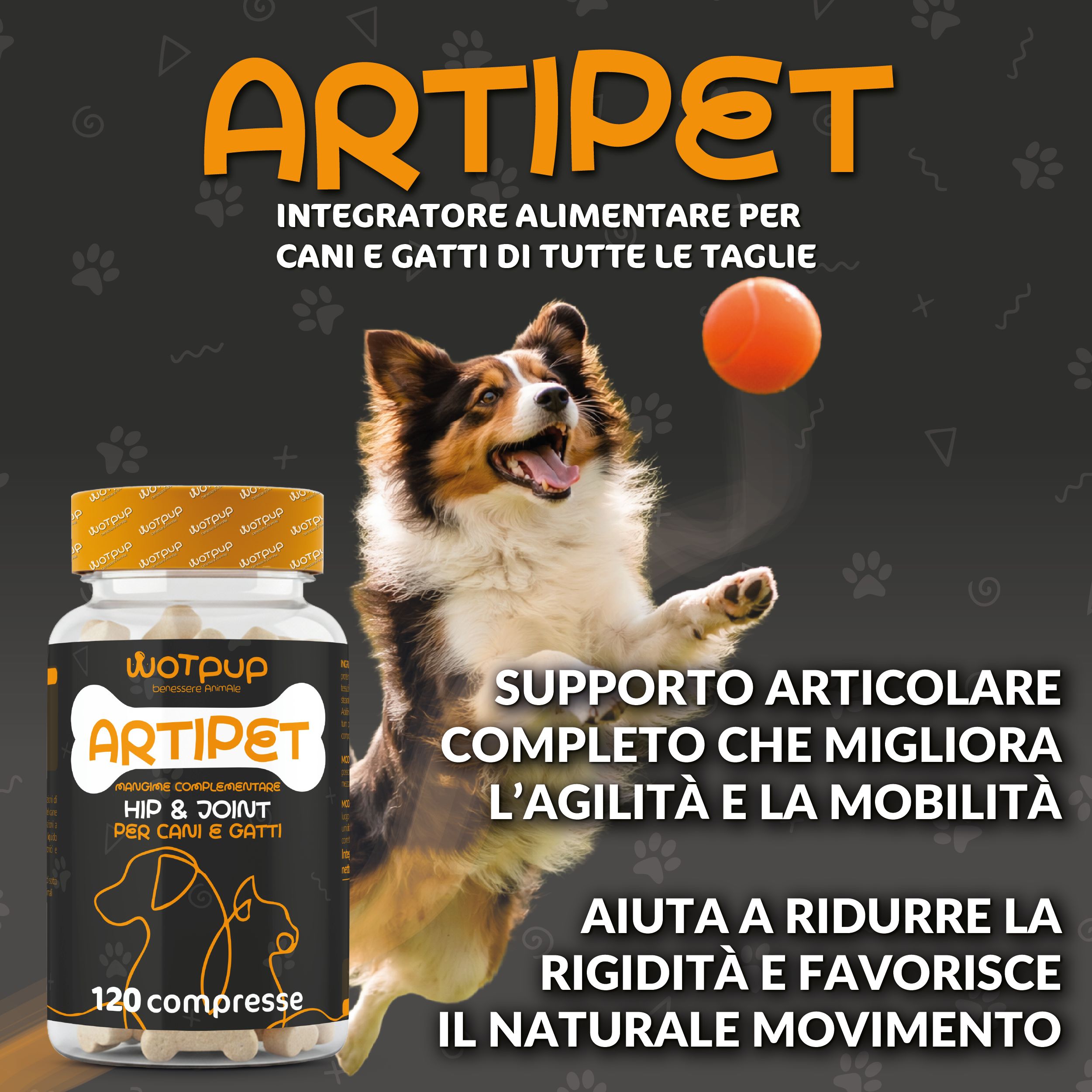 Artipet Integratore Cane Gatto | Glucosamina, Condroitina, MSM e Artiglio del Diavolo