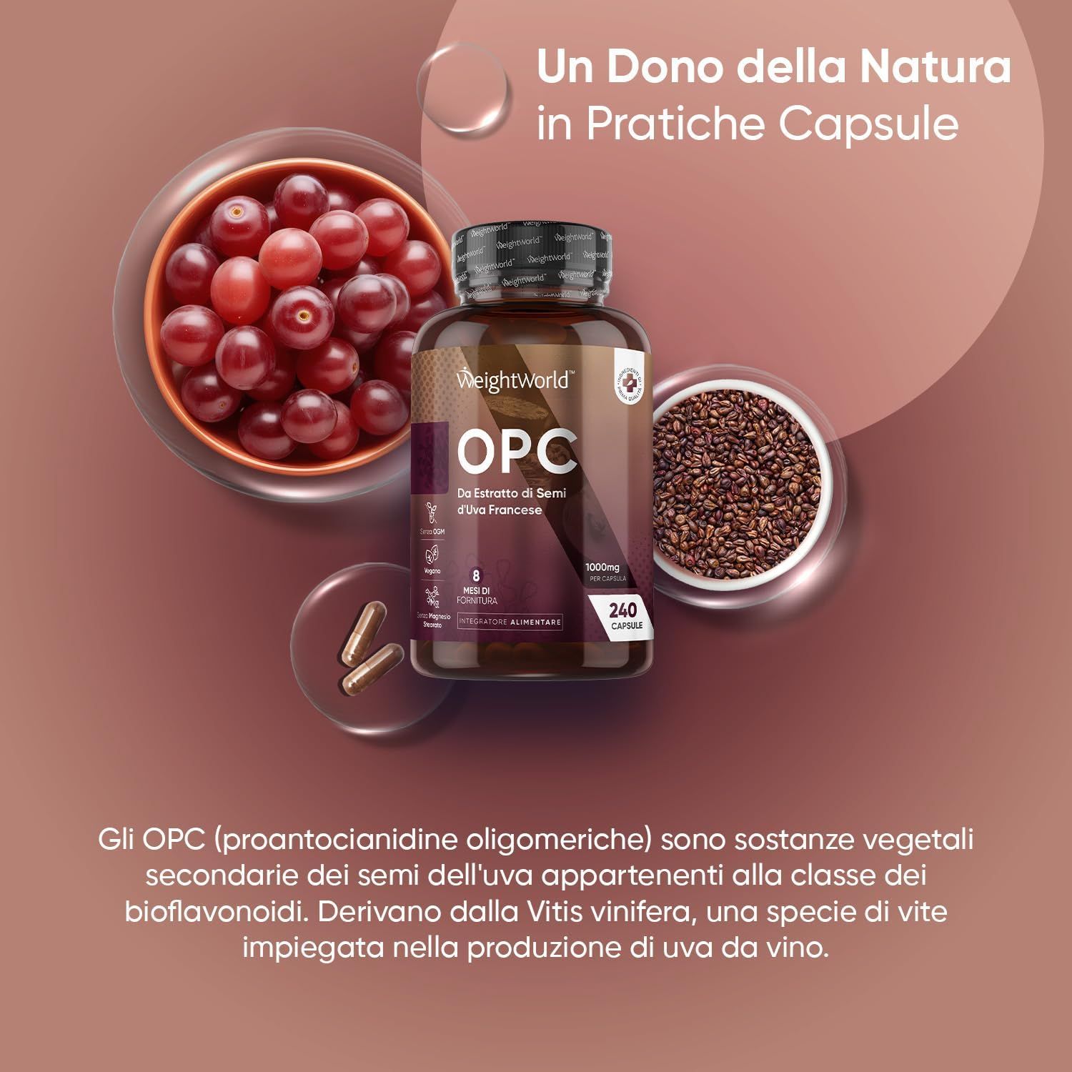 Flacone di capsule OPC, uva ed estratto di semi d'uva. Testo: 240 capsule. OPC (proantocianidine oligomeriche).