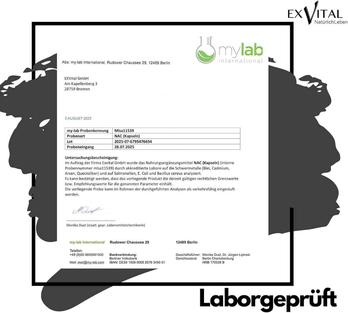 Rapporto di laboratorio. Testo: mylab International, testato in laboratorio. Analisi di EXVital NAC (capsule).