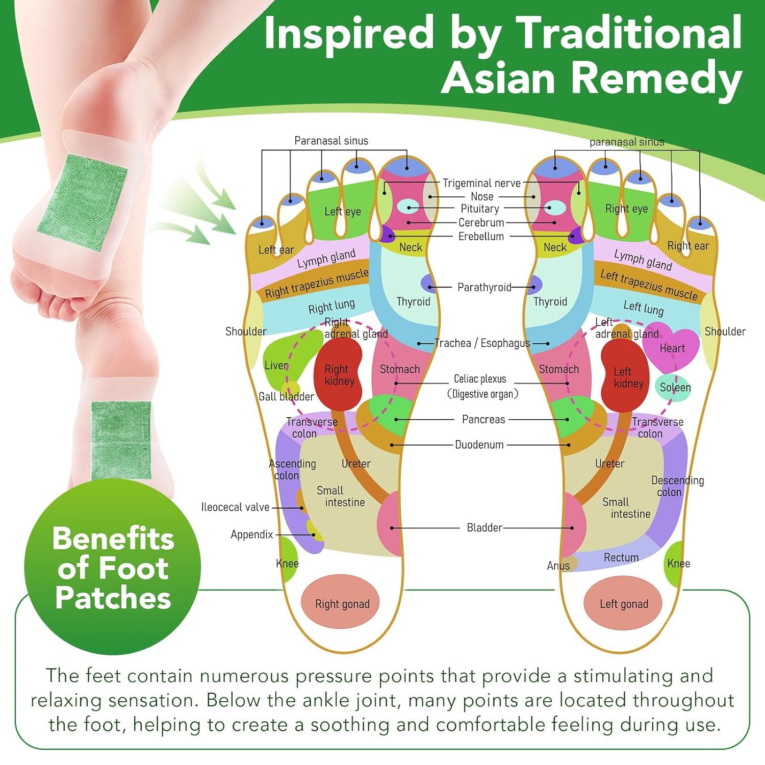 Mappa della riflessologia plantare. Piedi con cerotti per i piedi. Testo: Benefits of Foot Patches. Diagramma con zone riflesse.
