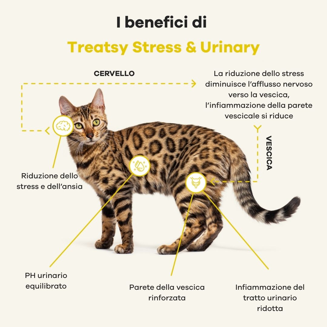 Grafica di un gatto con frecce e testo. Vantaggi di Treatsy Stress & Urinary.