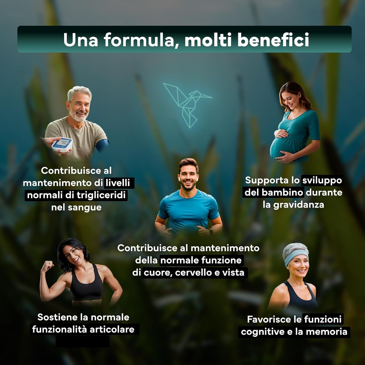 SEVENS NUTRITION Capsule Premium Omega 3 Vegano da Olio di Alghe