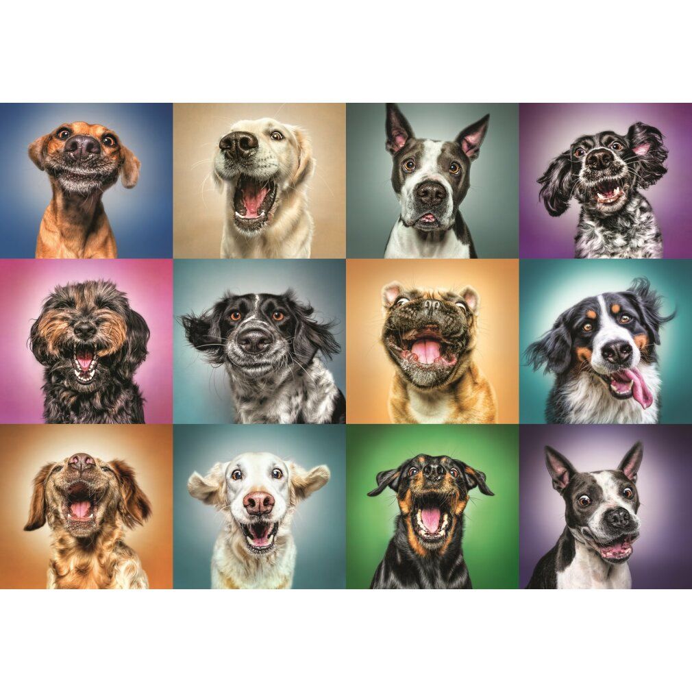 Puzzle premium 1000 pezzi ritratto di cane