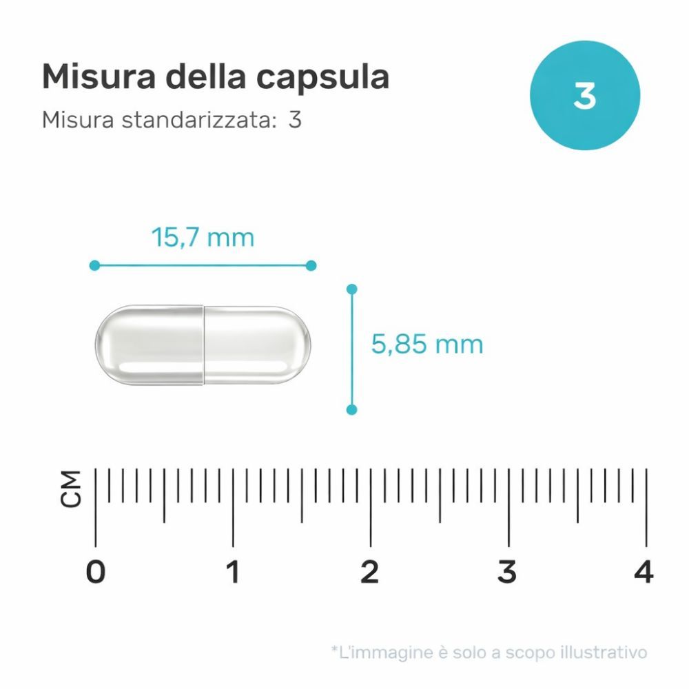 Capsula con misure: 15,7 mm x 5,85 mm. Scala in cm. Testo: Misura della capsula, Misura standardizzata: 3.