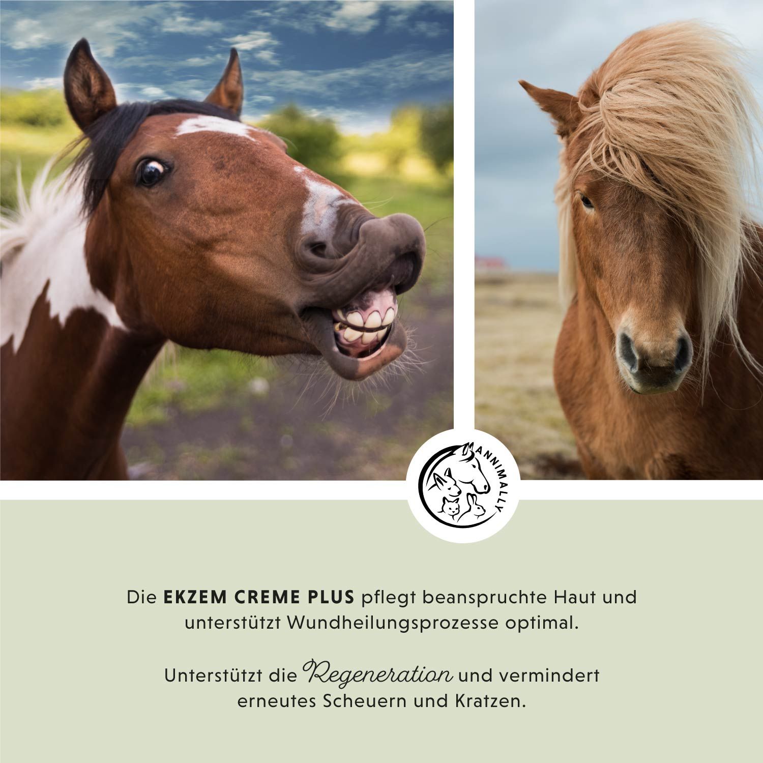 Due facce di cavalli. Testo: La crema Ekzem Plus cura la pelle stressata e supporta in modo ottimale i processi di guarigione. Senza conservanti.