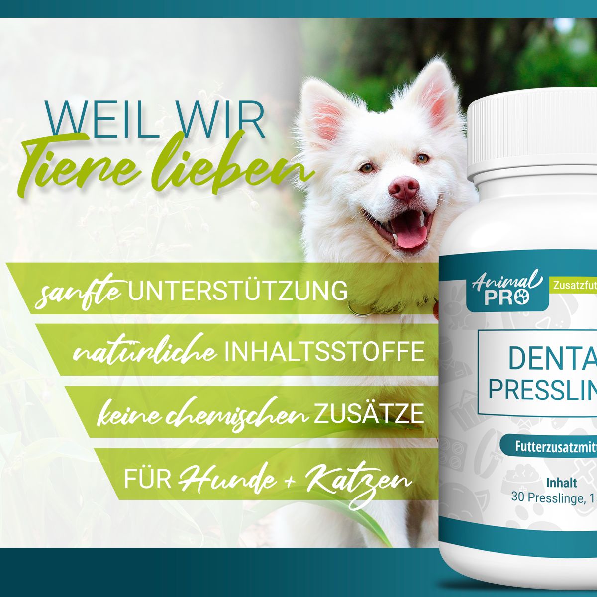 Cane bianco sorridente, accanto a una bottiglia di Animal Pro Dental Presslinge con testo sul supporto delicato.