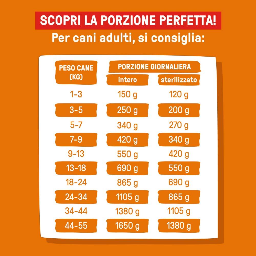 Raccomandazioni alimentari per cani. Tabella delle porzioni giornaliere in grammi, in base al peso del cane.