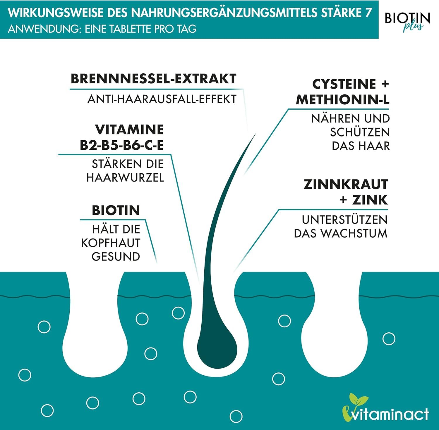 Vitaminact Compresse Biotin Plus