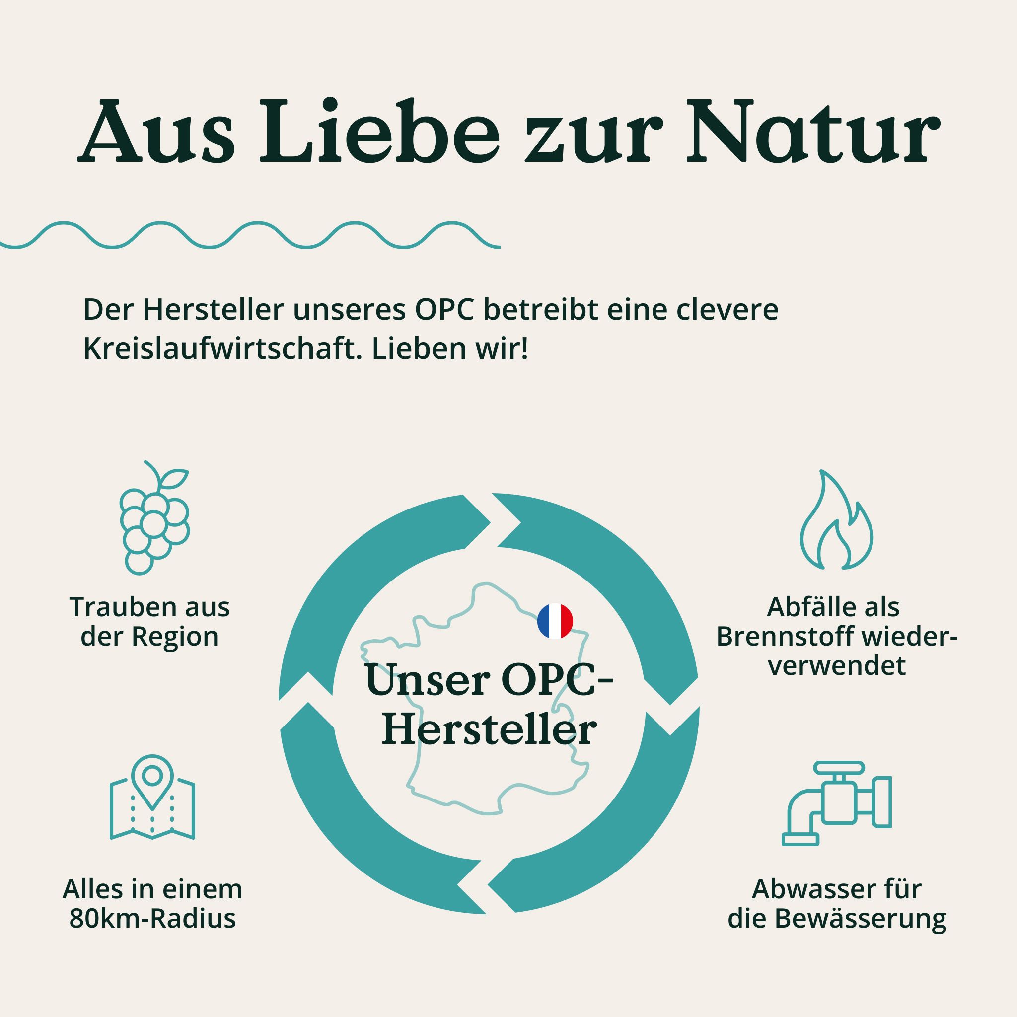 Grafico dell'economia circolare. Uva, produttore in Francia, acque reflue per l'irrigazione, rifiuti come combustibile, tutto nelle vicinanze.