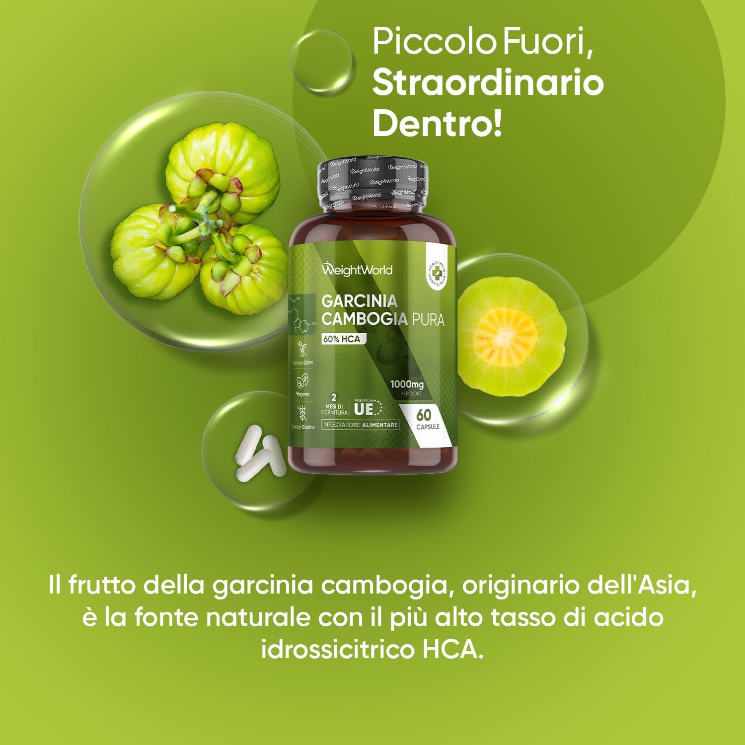 Flacone di Garcinia Cambogia e pezzi di frutta. Testo: Garcinia Cambogia Pura, 60% HCA. Testo: Piccolo Fuori, Straordinario Dentro!