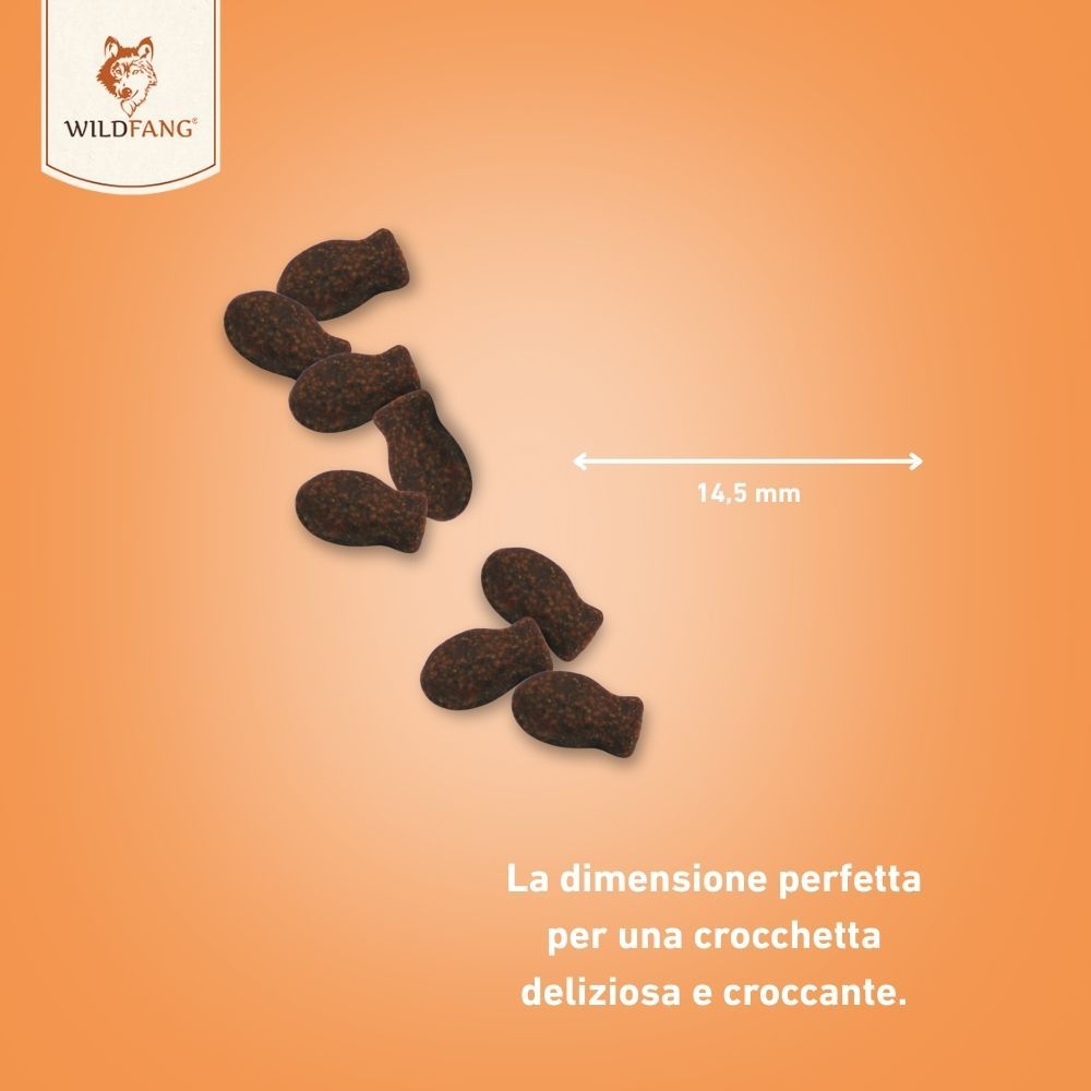 Snack marroni a forma di pesce. 7 pezzi. Linea di misurazione: 14,5 mm. Testo: La dimensione perfetta per uno snack delizioso e croccante.