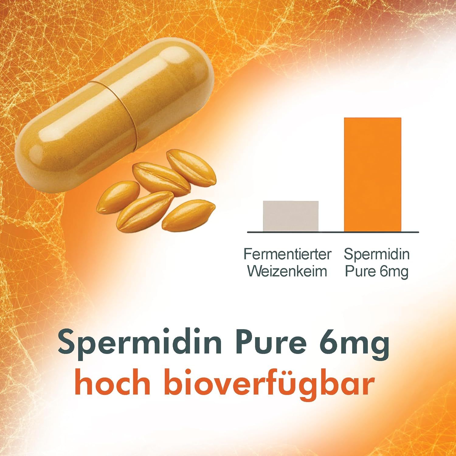 Capsula gialla e germi di grano. Grafico: Spermidina Pure 6mg ha una concentrazione più alta rispetto al germe di grano fermentato. Testo: altamente biodisponibile.
