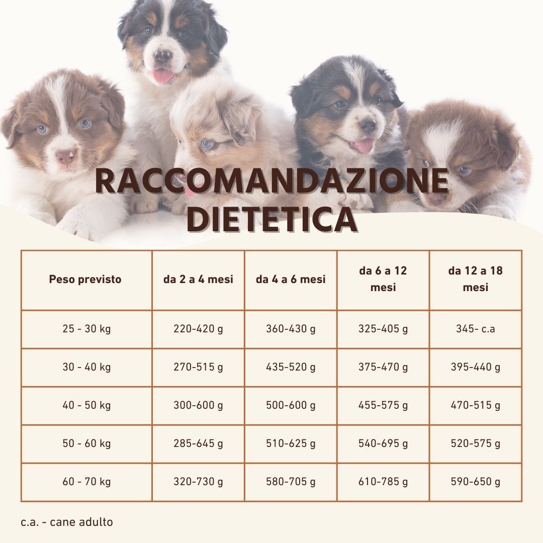 Wildfang - Junior Gourmet Box - Cibo secco e umido