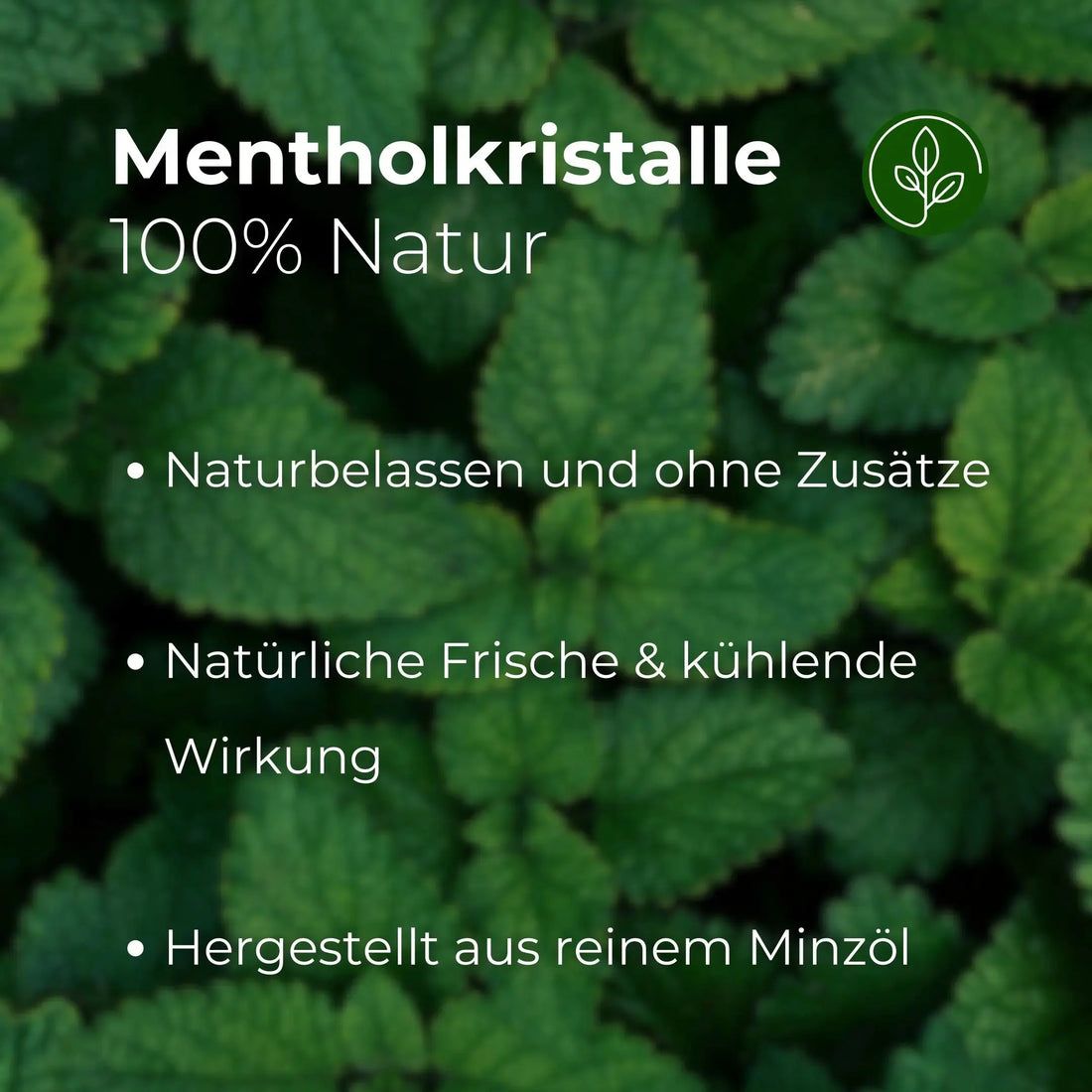 Sfondo verde con foglie. Testo: Cristalli di mentolo, 100% naturali, naturali, freschezza naturale, fatti con olio di menta pura.