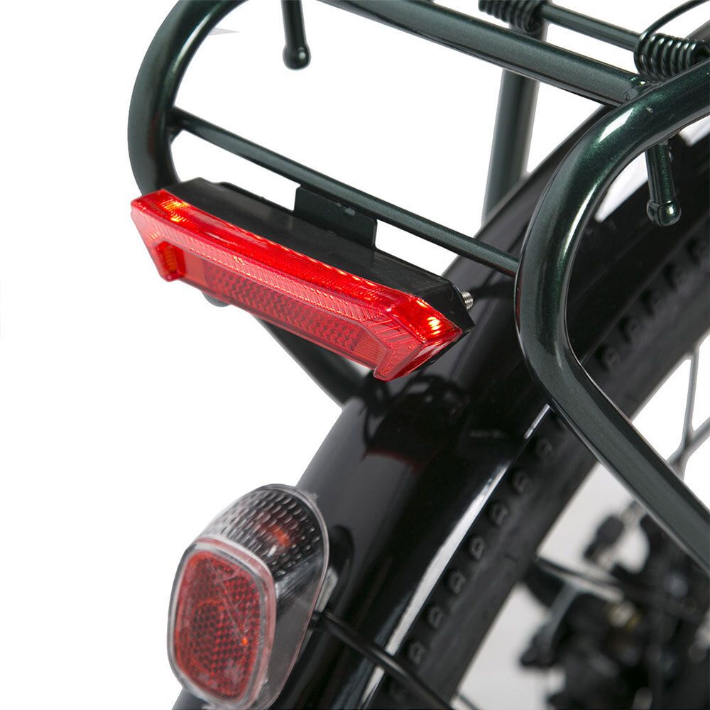 Fanale posteriore sul portapacchi. Luce rossa. Alloggiamento nero. Riflettore. Telaio verniciato verde.