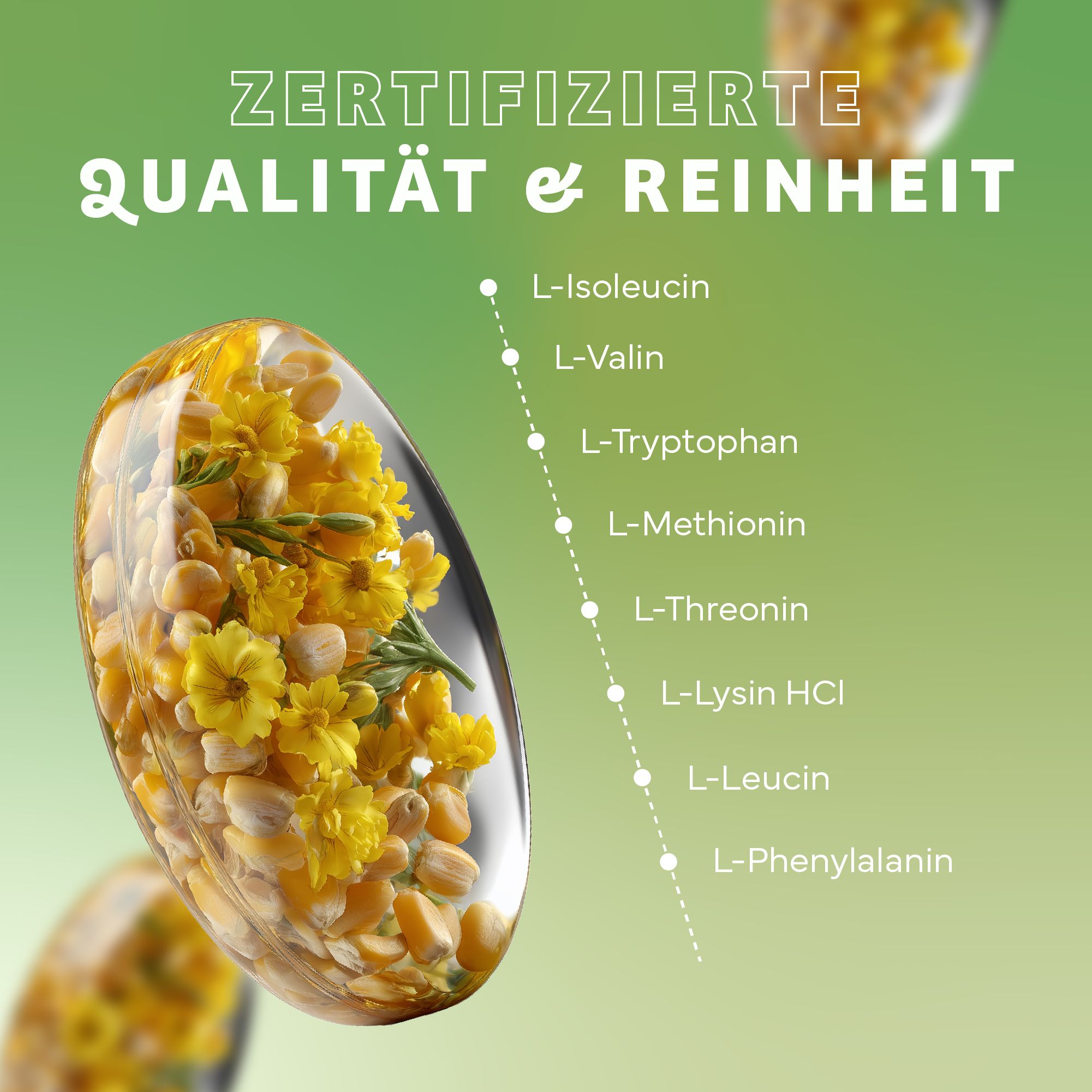 Capsula trasparente con fiori gialli e chicchi di mais. Testo: Qualità e purezza certificate. Elenco degli aminoacidi.