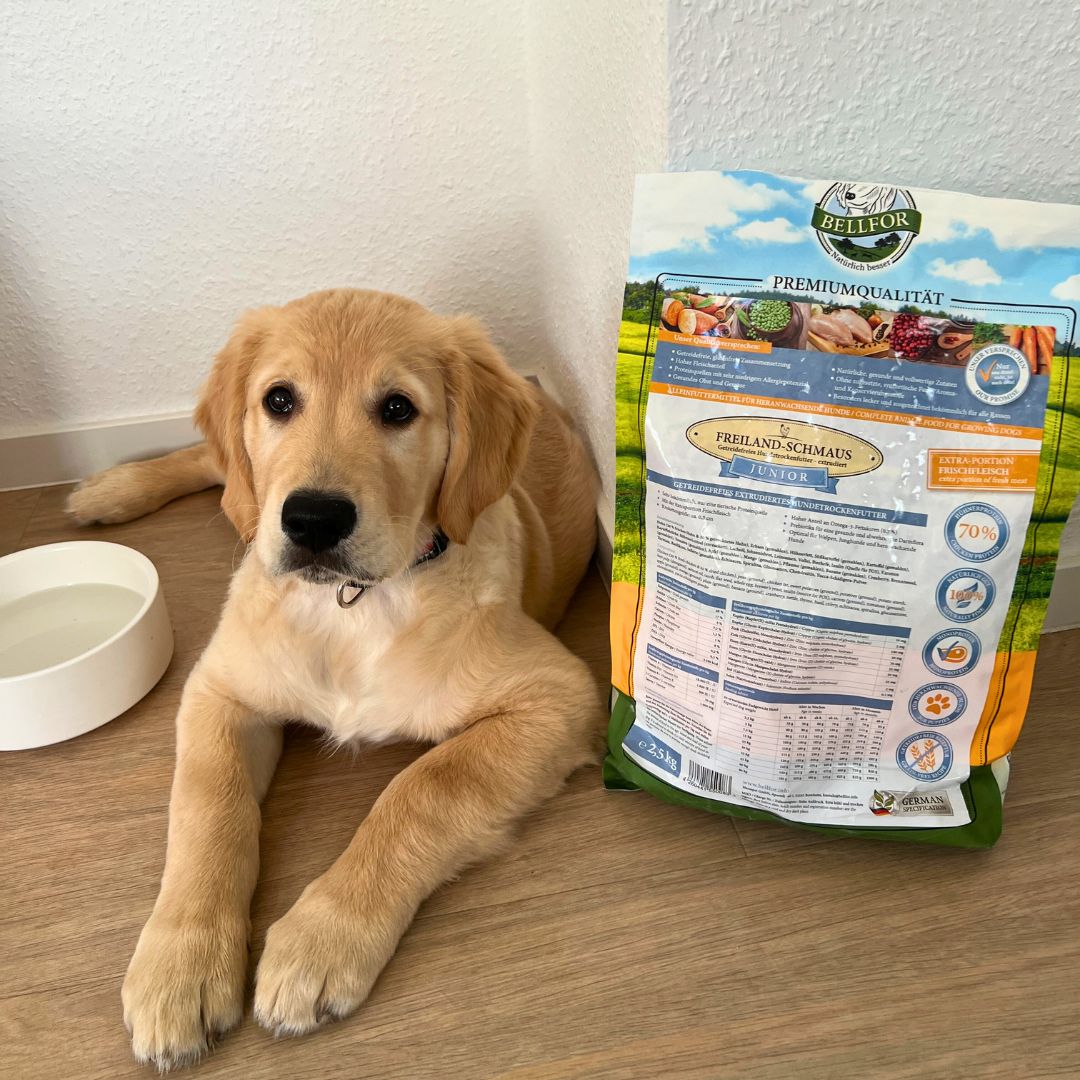 Bellfor Cibo secco con pollo per cuccioli e giovani cani - Senza cereali - Delizia di campo Junior