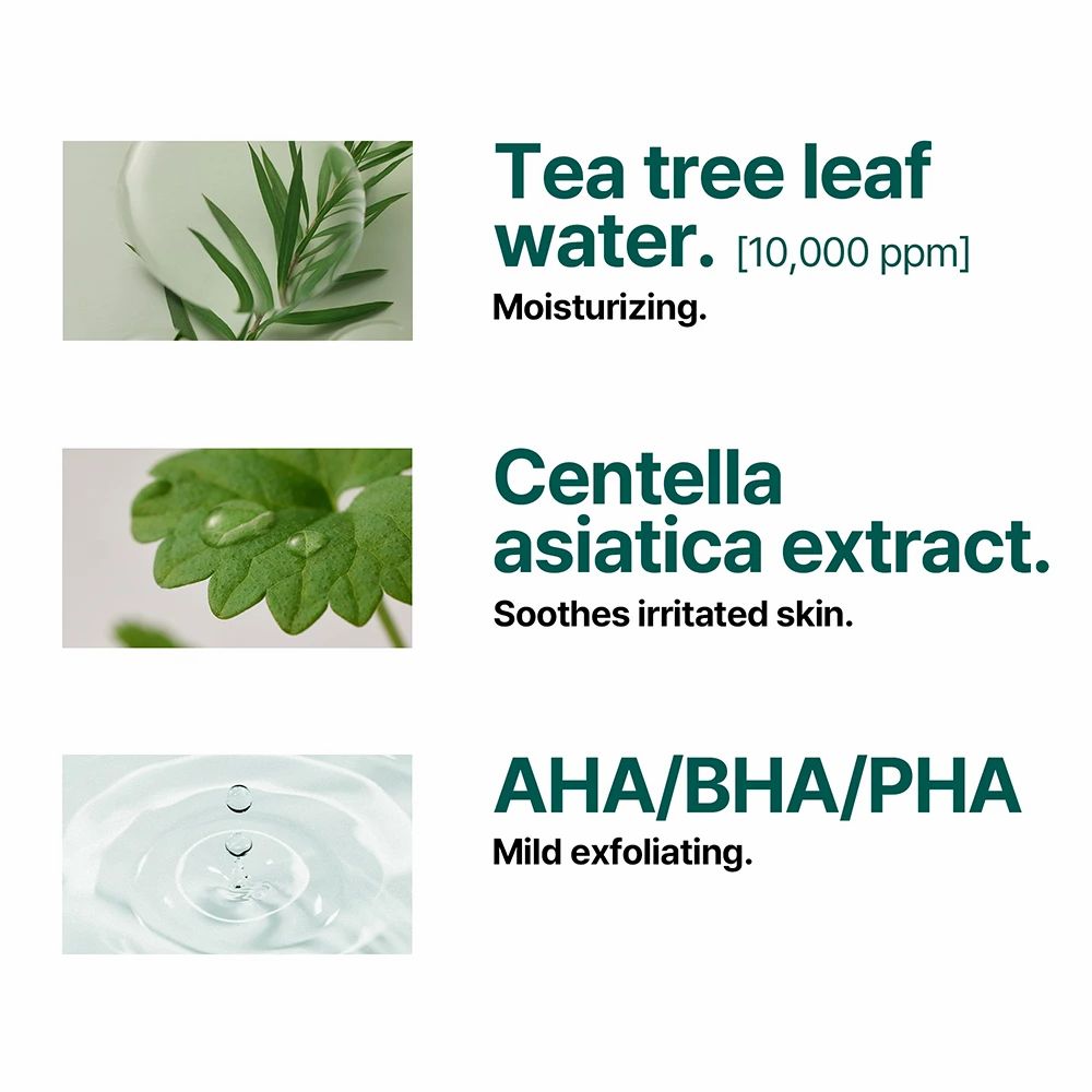 Tre immagini mostrano gli ingredienti: acqua di foglie di tea tree, estratto di Centella Asiatica, AHA/BHA/PHA. Il testo descrive le proprietà.