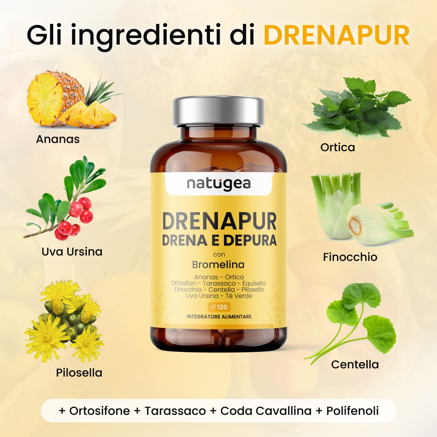 Flacone di capsule. Testo: DRENAPUR con Bromelina. Ingredienti: Ananas, Ortica, Uva Ursina, etc. 120 capsule.