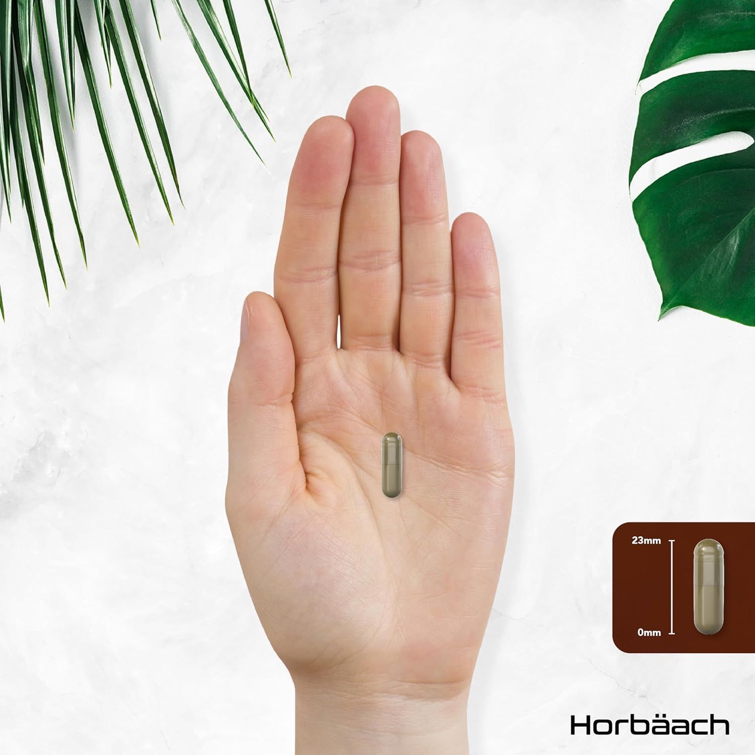 Capsula in mano. Dimensioni: 23mm x 9mm. Capsula marrone. Logo Horbaach.