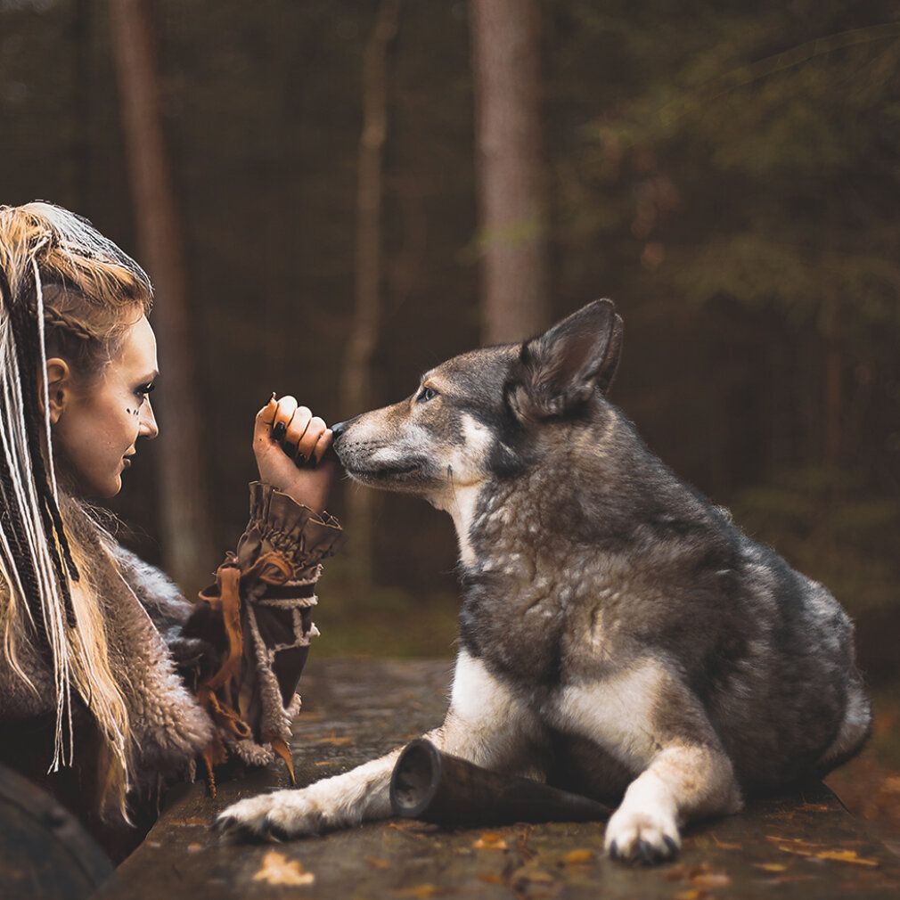 Mezzo corno vichingo s