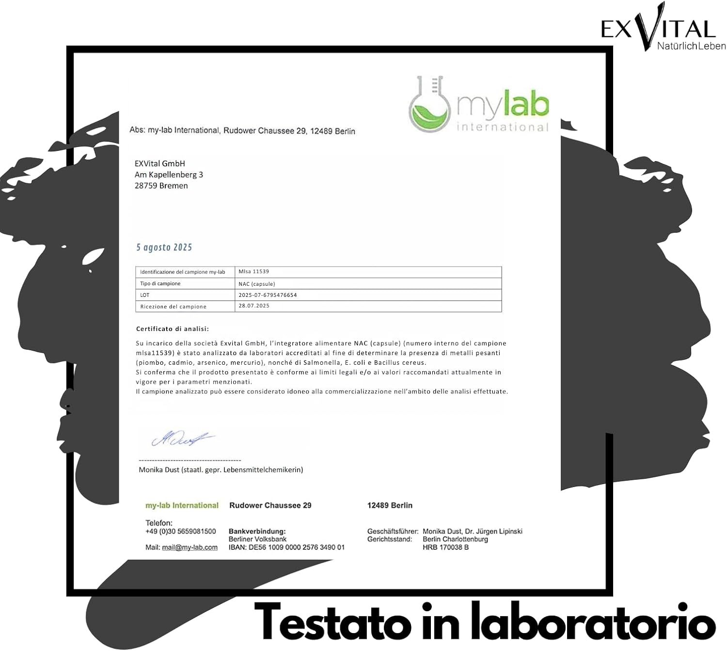 Rapporto di laboratorio. Testo: mylab International, Testato in laboratorio. Analisi di EXVital NAC (capsule).