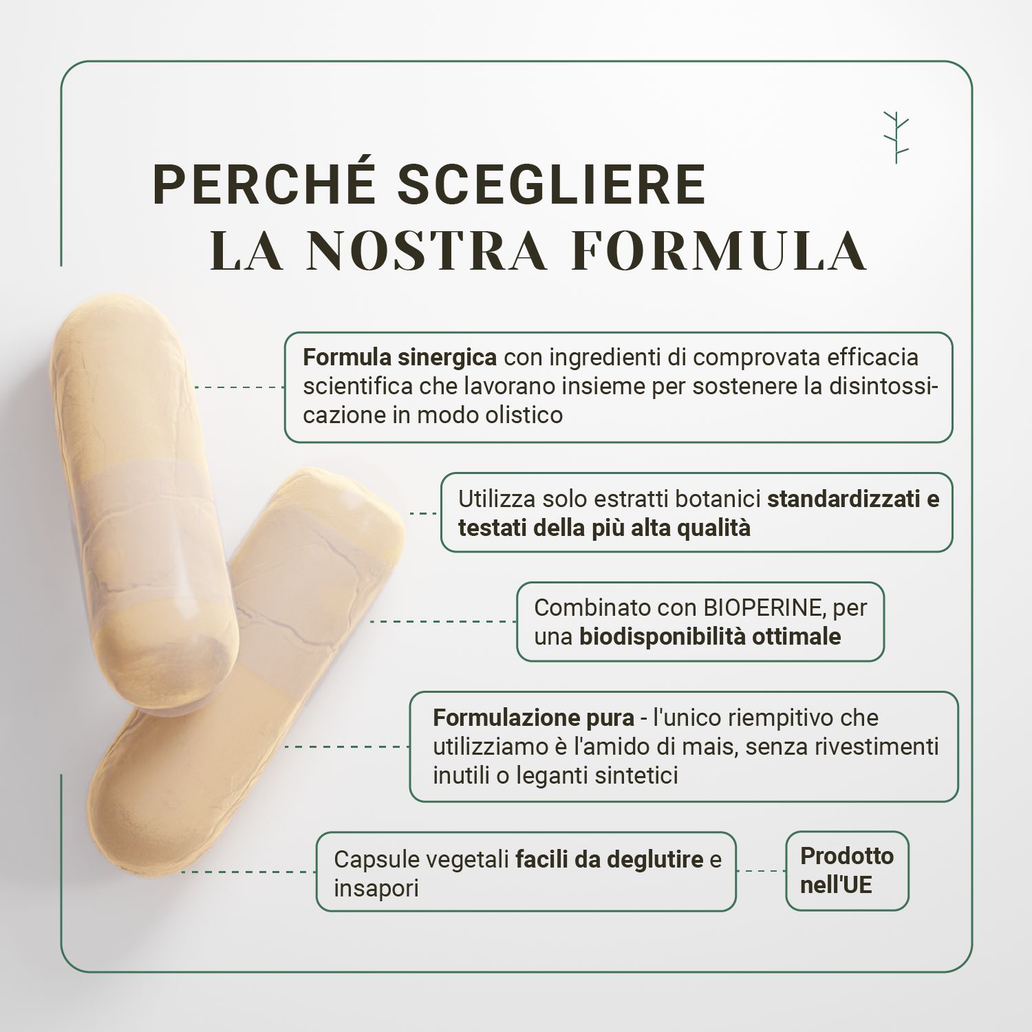 Due capsule beige. Testo: Perché scegliere la nostra formula. Capsule vegetali. Prodotto nell'UE.