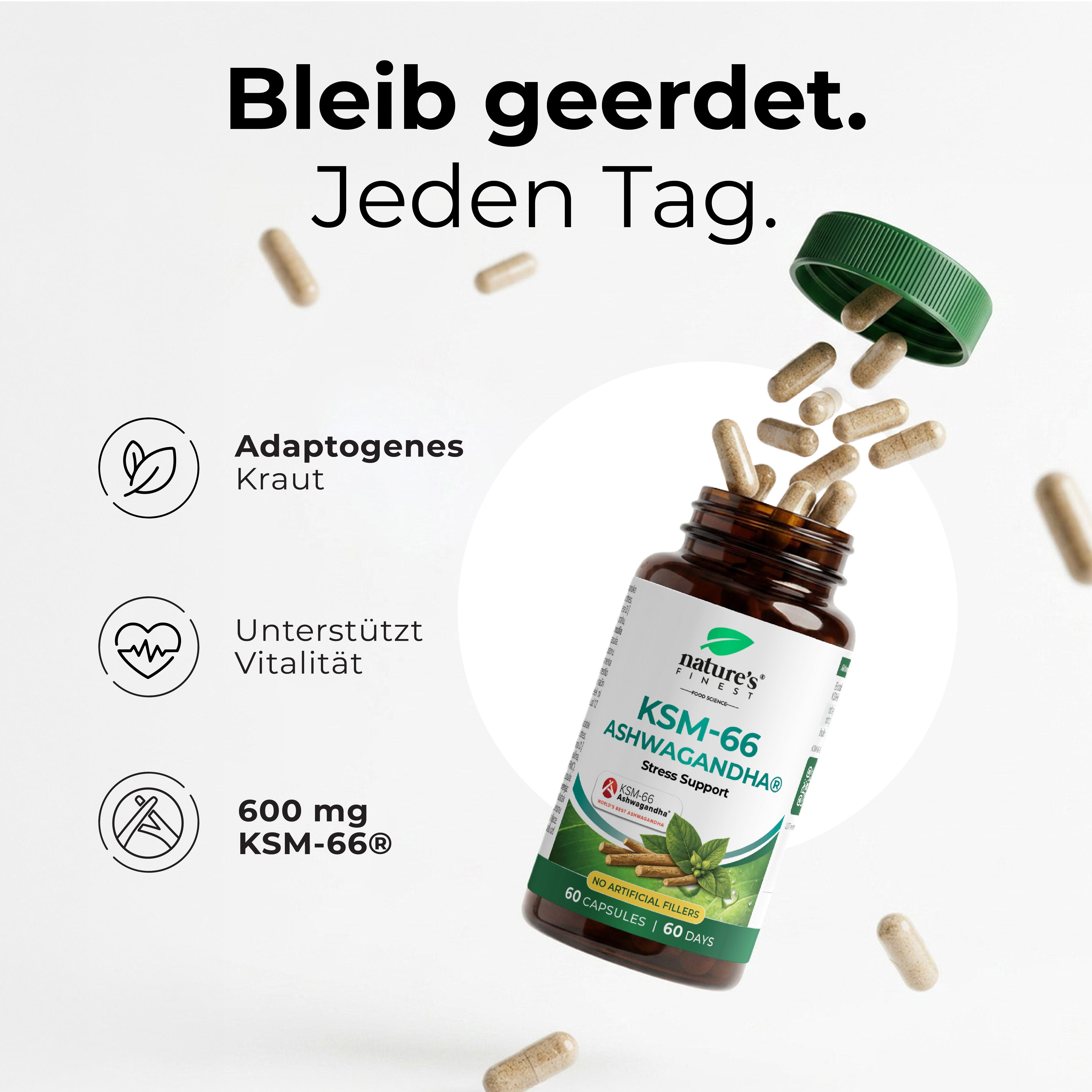 Flacone con capsule, circondato da singole capsule e icone per Erba adattogena, Vitalità e 600 mg KSM-66.