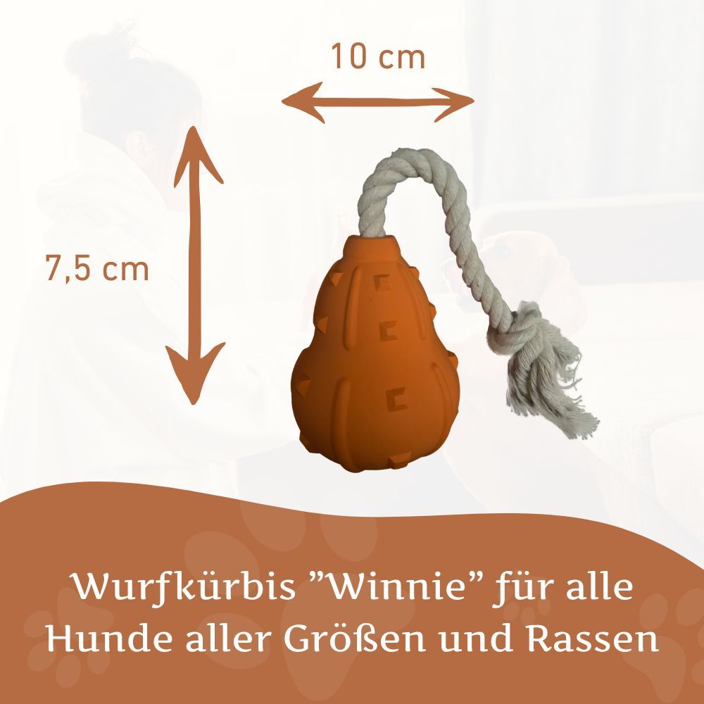 Zucca da lancio arancione in gomma naturale con corda. Dimensioni: 10 cm di larghezza, 7,5 cm di altezza.