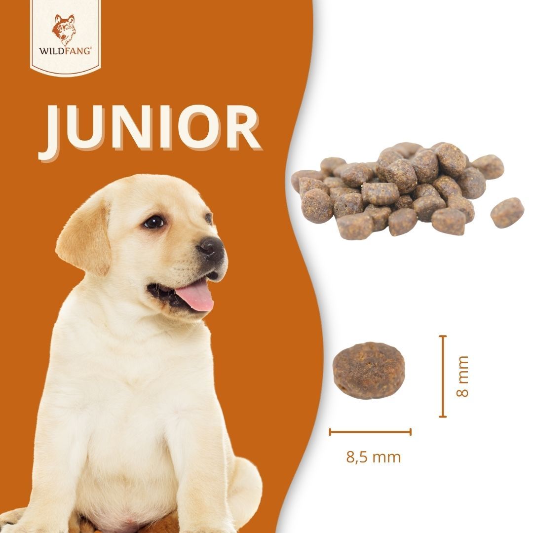 Crocchette. Testo: WILDFANG, JUNIOR, 8 mm x 8,5 mm. Un cucciolo è visibile sullo sfondo.