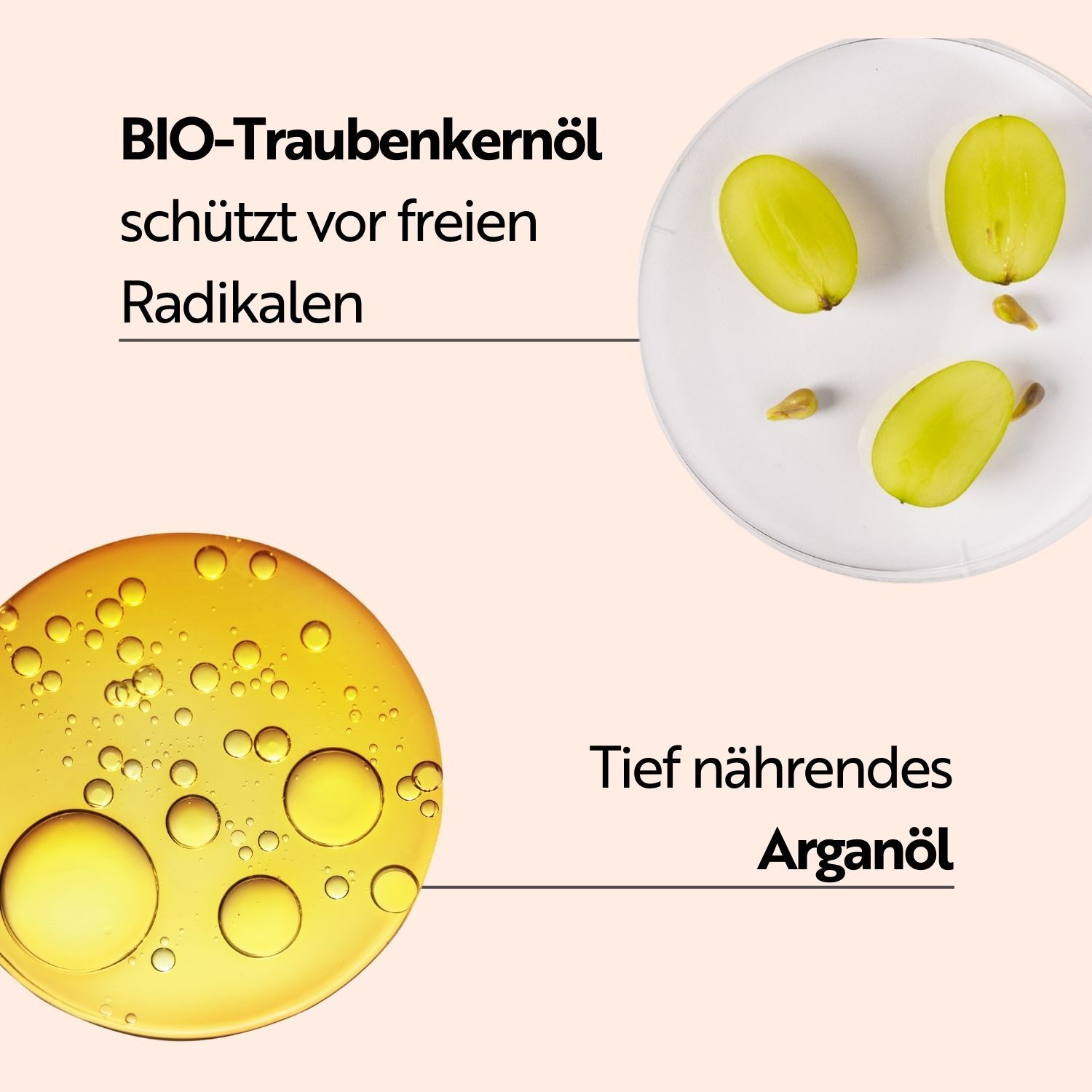 Primo piano di olio di semi d'uva e olio di argan. L'olio di semi d'uva protegge dai radicali liberi. L'olio di argan nutre.