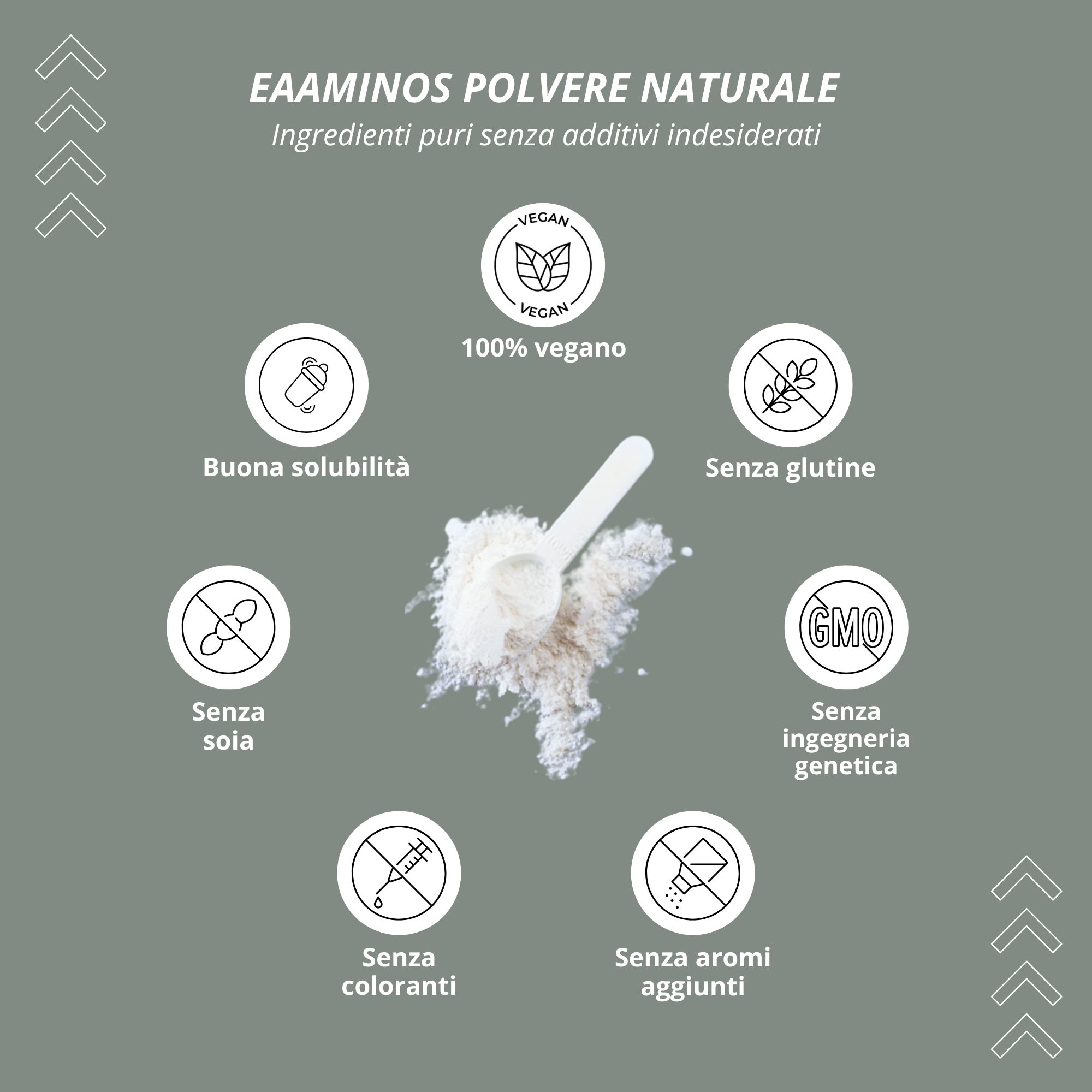 Grafica con icone: Buona solubilità, vegano, senza glutine, senza soia, senza OGM, senza coloranti, senza aromi.