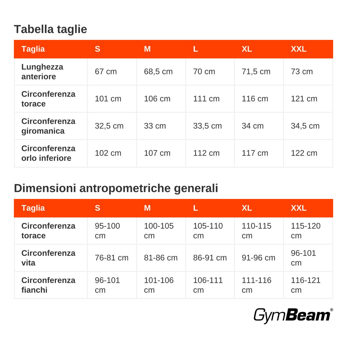 GymBeam Canotta uomo Mesh Essence regular Black