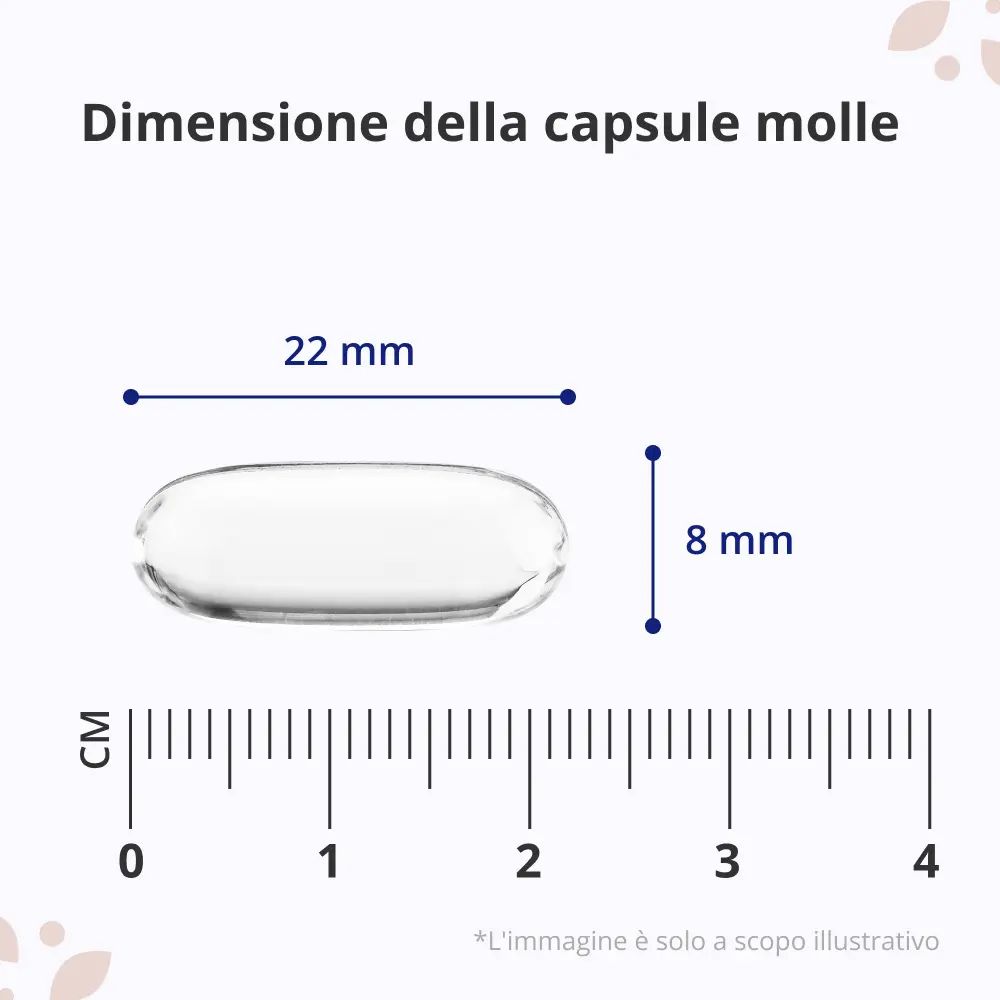 Dimensioni di una capsule molli: 22 mm di lunghezza, 8 mm di diametro. Linee blu indicano le dimensioni.